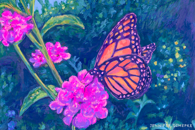 monarch-butterfly